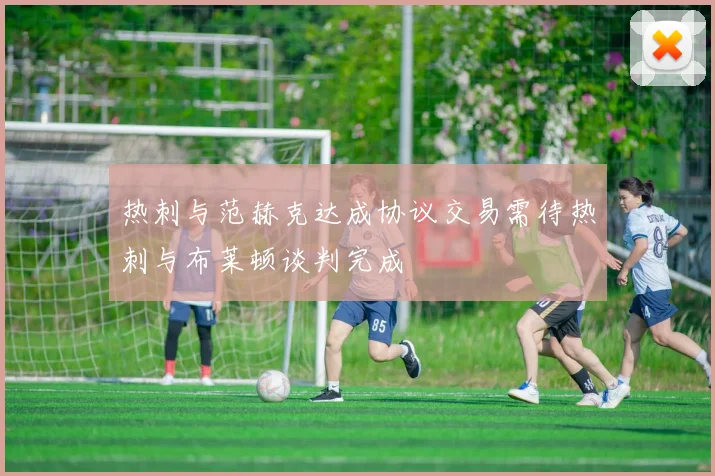 热刺与范赫克达成协议交易需待热刺与布莱顿谈判完成